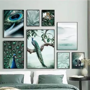 Павлинье перо искусство ветка дерева животное леопард слон живопись плакат печать рябь воды алоэ абстрактная настенная картина декор 21x30cm No Framed