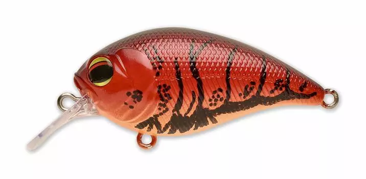Pay Forward Lure One Eight SR Red Claw #004