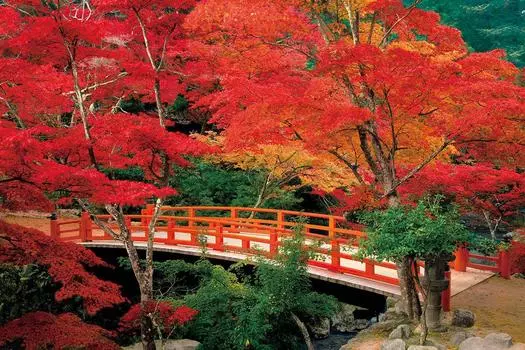 Пазл Aki no Miyajima Momijidani, 2016 г., очень маленький кусочек, Парк-Хиросима (50x75cm)