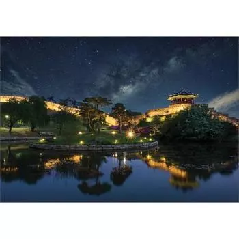 Пазл BN Suwon Hwaseong Starry Night 10-068, 1000 деталей, разные цвета Пазл, Детские игры, Развивающие игрушки