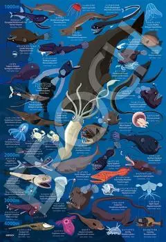 Пазл Epoch из 100 больших элементов Taro Tomonaga Deep Sea Life Encyclopedia Water Depth x Glue Included В комплект входит шпатель В комплект входит билет на подсчет очков EPOCH
