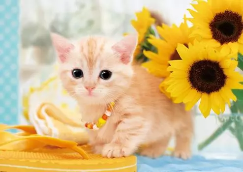 Пазл EPOCH из 108 элементов «Летние каникулы с котом» x В комплект входит клей, шпатель, билет на подсчет очков, EPOCH Существа/питомцы, кошки (18.2 25.7см)