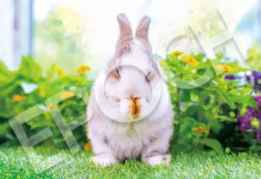 Пазл Epoch из 300 деталей Ваша утренняя рутина x (26 38см)