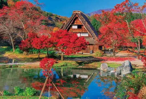 Пазл EPOCH из 300 деталей Японский пейзаж в осенних красках x с клеем и шпателем с очками EPOCH Shirakawago-Gifu (26 38см) 25-193с