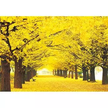 Пазл из 1000 деталей - Golden Ginkgo Tree Road 2, популярная корейская головоломка
