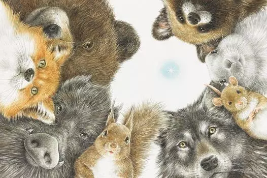 Пазл из 1000 деталей Юми Симокава ищет звезды (50x75cm)