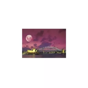 Пазл из 1500 маленьких деталей Master Moonlight Sydney (50x75cm)