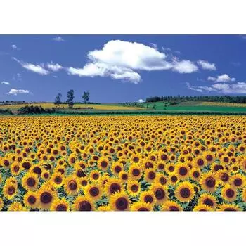 Пазл из 2000 деталей - Sunflower Plain, популярная корейская головоломка