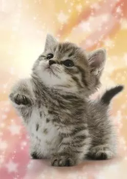 Пазл из 216 деталей Мастер головоломок Что-то маленькое, ня? (18,2x25,7см)