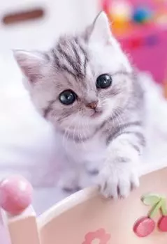 Пазл из 300 деталей Hug x Me? (26 38см)