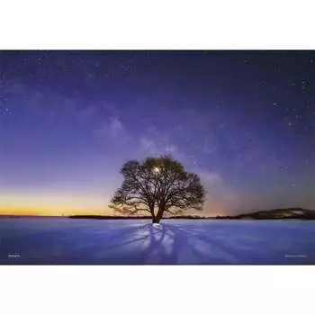Пазл из 300 деталей KAGAYA Elm Tree and Milky Way (Хоккайдо) [Светящаяся головоломка] (26x38см)