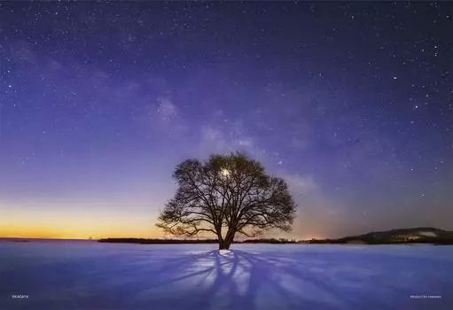 Пазл из 300 деталей KAGAYA Elm Tree and Milky Way (Хоккайдо) [Светящаяся головоломка] (26x38см)