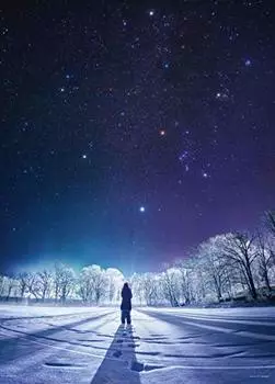 Пазл KAGAYA Winter Diamond из 500 деталей (38х53см)