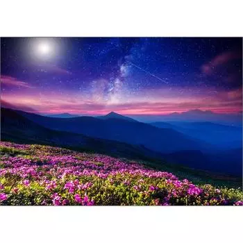 Пазл Korea Azalea Blossoming Hill Jigsaw Puzzle 3215, 2000 деталей, разноцветные