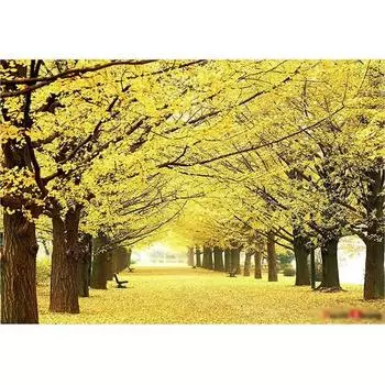 Пазл Life Golden Ginkgo Road 1000 деталей, 51х73,5см Пазл, Детские игры, Развивающие игрушки