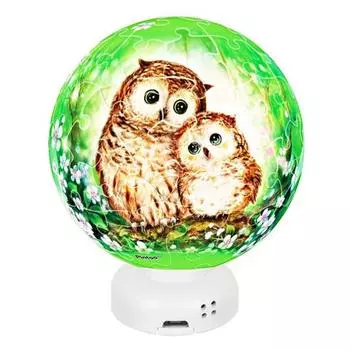 Пазл Love Flower Forest Owl Baller Enjoy + светодиодная сенсорная подставка PO60 J1012 Корейский трехмерный пазл