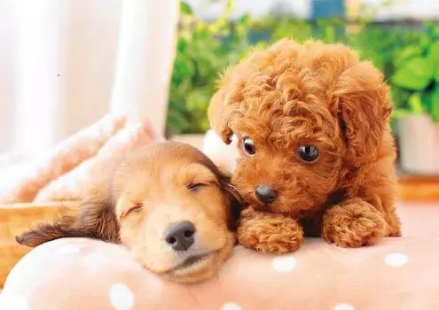 Пазл Ohirune no Jikan из 108 деталей (18,2x25,7см)