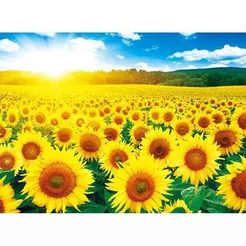 Пазл «Поле подсолнухов» AL5005, популярные корейские головоломки
