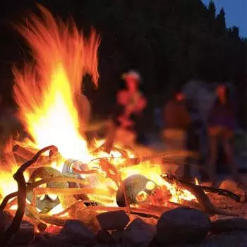 Печь-гриль Череп Керамическое полено Украшение для вечеринки Хэллоуин Имитация скелета Реквизит для черепа Страшная керамика