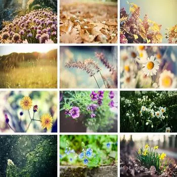 Пейзаж 5D DIY алмазная живопись горный хрусталь художественная картина полная алмазная вышивка пейзаж набор крестиков мозаика домашний декор Full Round 20x30CM