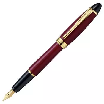 Перьевая ручка Aurora EF Extra Fine Point Epsilon Bordeaux Regular Imported Product B11-XE Двойного назначения