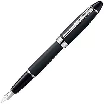 Перьевая ручка Aurora Epsilon Satin, черное стальное перо M [Перьевая ручка] B10-N