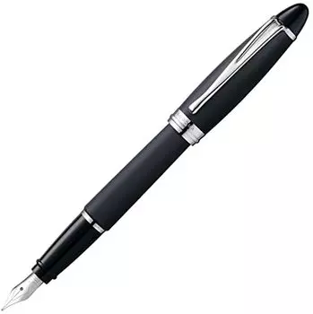 Перьевая ручка Aurora Epsilon Satin, черное стальное перо M [Перьевая ручка] B10-N