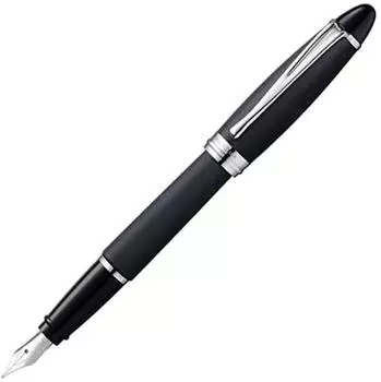 Перьевая ручка Aurora Epsilon Satin, черное стальное перо M [Перьевая ручка] B10-N