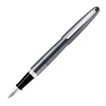 Перьевая ручка Pilot Cocoon Metallic Grey с тонким кончиком FCO-3SR-MGY-F