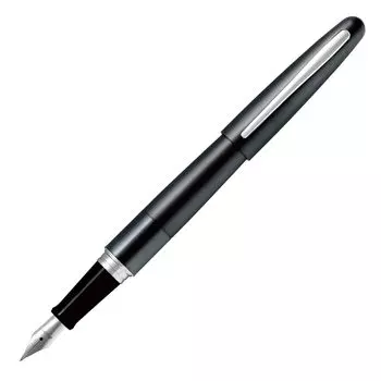 Перьевая ручка Pilot Cocoon Metallic Grey Medium Point FCO-3SR-MGY-M