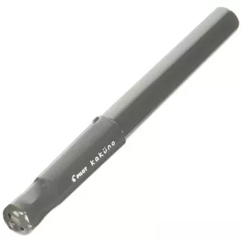 Перьевая ручка Pilot Kakuno F серая FKA1SRGYF