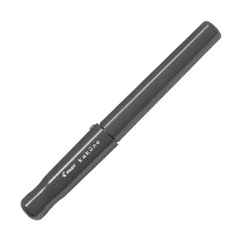 Перьевая ручка Pilot Kakuno F серая FKA1SRGYF серый