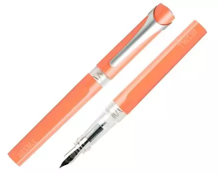 Перьевая ручка Twisbee Swipe Salmon TW110015 двойного назначения 1,1 мм