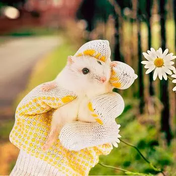 Перчатки для защиты от жевания домашних животных Перчатки для ухода за мелкими животными Защитные перчатки для работы