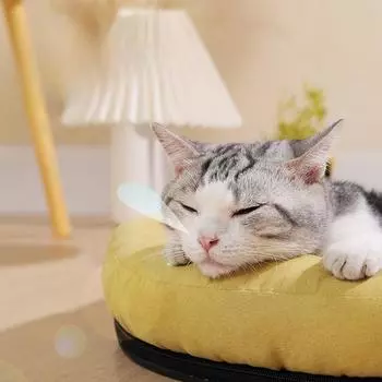 Переноска для домашних животных, кошачий туалет, всесезонная будка, большой наполнитель для домашних животных, подушка для собак, теплая постель для домашних животных зимой XL