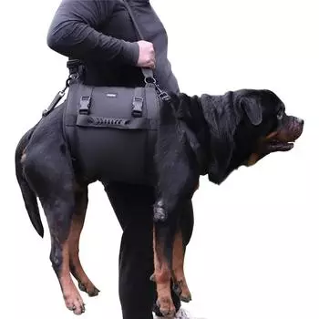 Переноска для собак, переноска-подъемник для собак для поддержки и реабилитации ног домашних животных, переноска для пожилых собак, для травм суставов (Черный, XXL) M чёрный