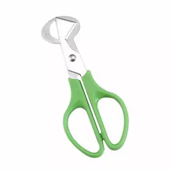 Перепелиное яйцо Яйцо Перепелиное яйцо Яйцо Яйцо Креативная нержавеющая стальная скорлупа для кухни Полезный зеленый резак, резак, резак, резак, ножницы,