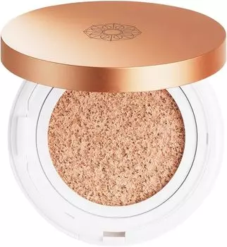 PERFECT ONE Лечебная основа-кушон против морщин Натуральная 13 г Основа под макияж Солнцезащитный крем Косметика и (с корпусом)