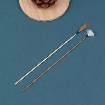 Перо для чистки ушей Кюретка для чистки ушей Ложка для чистки ушей Инструменты для чистки ушей Уход за ушами 2Pcs/set