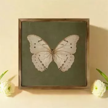 Personalized Butterfly Specimen Photo Frame Creative DIY Display Frame Crafts Picture Frame Office