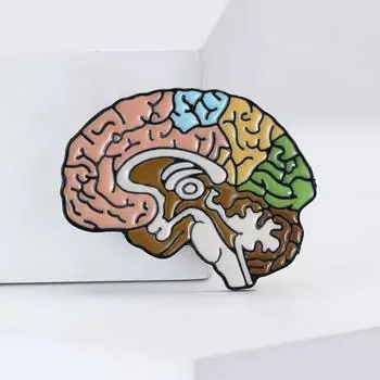 Персонализированная креативная брошь из сплава с боковым вырезом в виде мозга Персонализированные преувеличенные мужские и женские костюмы, свитера, корсажи, ювелирные булавки