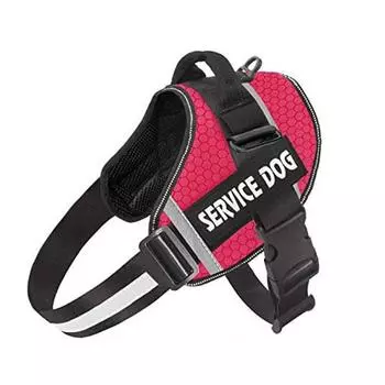 Персонализированная шлейка для собак, светоотражающая дышащая шлейка для французского бульдога, подходит для больших и маленьких собак, аксессуары для дрессировки XS