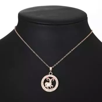 Персонализированное круглое ожерелье с подвеской «Двенадцать созвездий» для женщин Capricorn