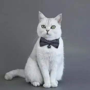 Галстук-бабочка для домашних животных, регулируемый галстук для домашних животных, праздничный костюм для щенков, ошейник-бабочка для маленьких собак, ошейник для кошек, галстуки для груминга, аксессуары для вечеринок