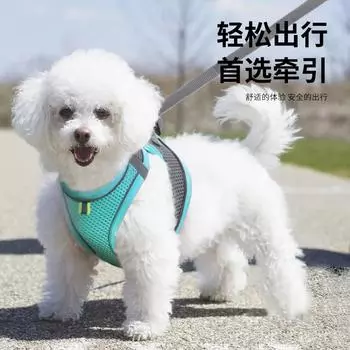 Pet Chest Strap Vest Type Dog Leash Reflective Dog Strap Cat Leash Cat Rope XS зелёный