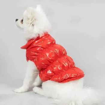 Pet Clothes Dogs Cats Winter Down Cotton Padded Clothes Warm Kejifa Bomei Dog Clothes XS чёрный