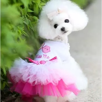 Pet Dog Clothes, Spring and Summer Cat Clothes Pet Dog Skirts Pet Supplies Cat Gauze Skirts Hearts XS