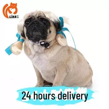 Pet Double Ball Wig - Cute and Funny Straight Hair Headdress Accessory for Pets red ribbon, double ponytail коричневый