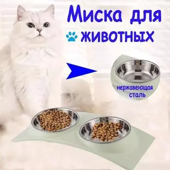 Двойная миска для домашних животных, нескользящая, для собак, кормушка для кошек из нержавеющей стали, миска для еды, препятствующая удушью, миска для питья, товары для животных зелёный