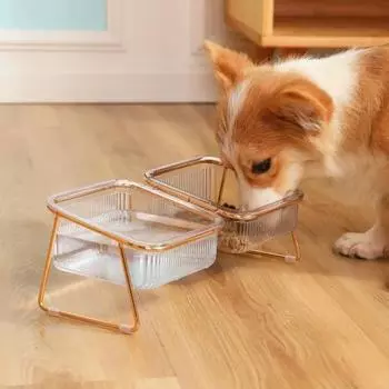 Pet Double Bowl Transparent Dog Feeder High Foot Cat Bowl Drink Water Cat Food Basin Dog Pet Easy to Clean Dog Bowl Supplies